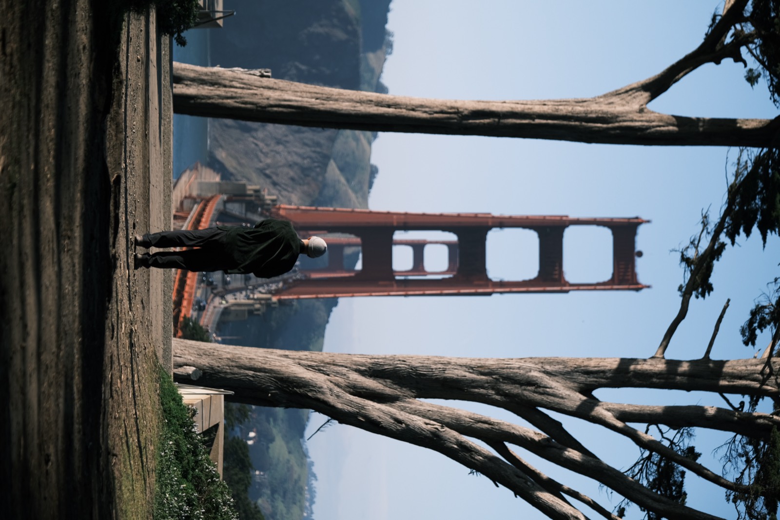 A person in a beanie standing between two cypress trees, looking out at the Golden Gate Bridge in the morning light.
